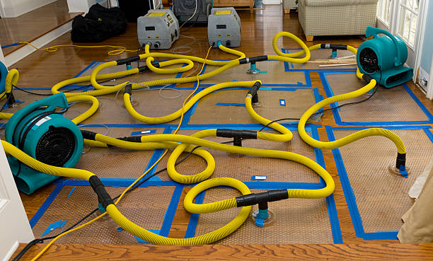 Professional Flood Damage Restoration technician working in Point Mugu Nawc, CA